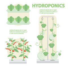 Hydroponics