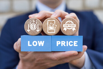Man holding colorful blocks and sees inscription: LOW PRICE. Low price and cost reduction concept. Discount price offer.