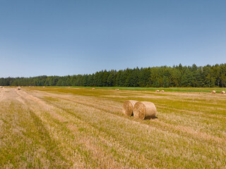 Wheat straw bales on harvested field illuminated by sunlight