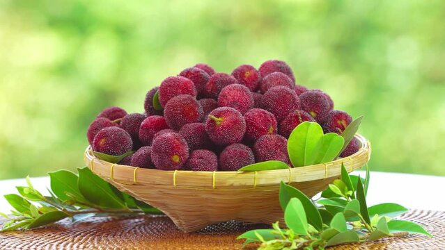 Arbutus berries Fruit or Red Yangmei in basket over blur greenery background, Red Bayberry, Yumberry, yamamomo, Waxberry in basket on green bokeh background.