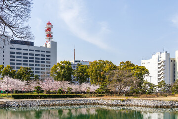 Obraz premium Communication Tower and cityscape viewed from Tamamo Park, or Takamatsu Castle park in Takamatsu city, Kagawa Prefecture, Japan