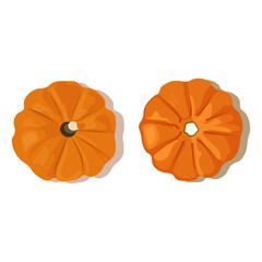 pumpkins isolated on white background. Vector illustration. Top view. 