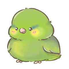 Green Forpus  Pacific Parrotlets Female