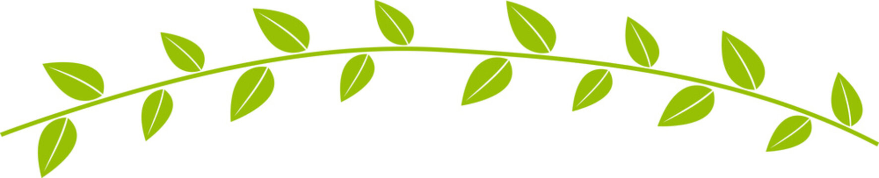 The leaf png image for eco or bio concept