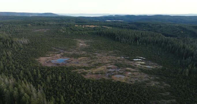 Aerial View of Plateau and Conifer Forest in Landscape of Ore Mountains, Czech German Border, Drone Shot