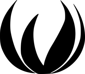 black fire icon