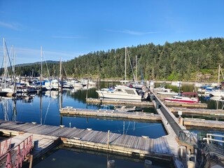 View of the dock at Mapple Bay Marina