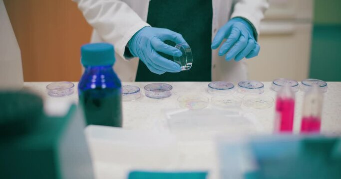 Scientist Working in Medical Laboratory Cancer Research Covic 19 Pandemic