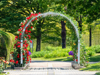 薔薇園と薔薇のゲートの風景