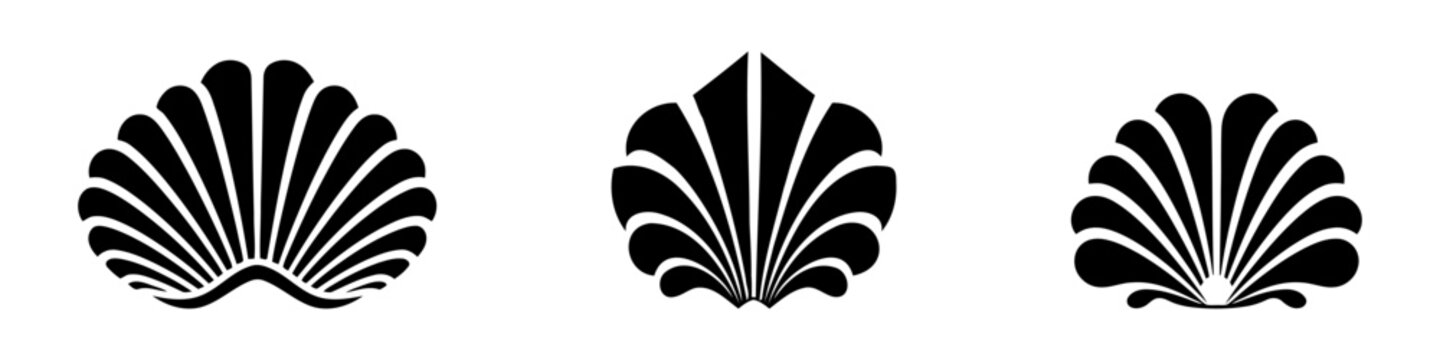 Shell vector icon set. Simple flat symbol on white background