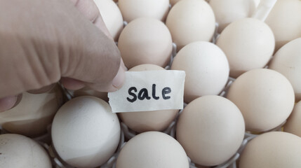 Some eggs with world egg trading market concept.with shiny light.