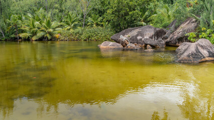 Fototapeta na wymiar Granite boulders lie in a quiet river backwater. Lush tropical vegetation, palm trees on the shore. Reflection. Seychelles. Praslin.
