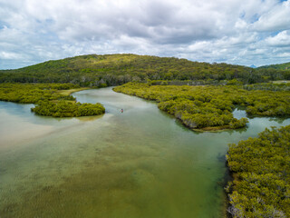 Kayaking in river with green forest along