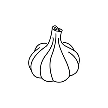 garlic icon vector