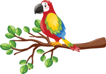 blue and yellow macaw