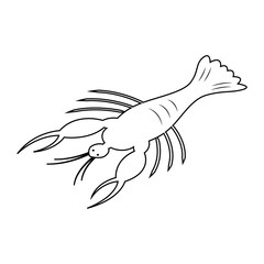 Obraz premium shrimp logo vector illustration design