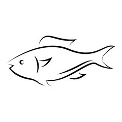 fish logo vector illustration design