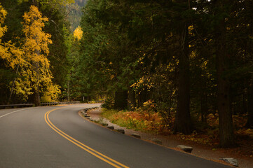 Autumn Road Glacier National Park