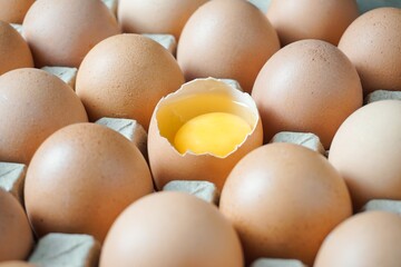 Chicken eggs in a carton box with broken egg half with a yolk