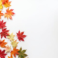 Naklejka na ściany i meble maple leaves on flat white background