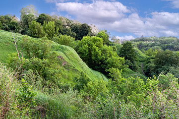Fototapeta na wymiar Lush green hills in Kyiv Ukraine