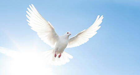 Fototapeta na wymiar AI generative. White dove against blue sky