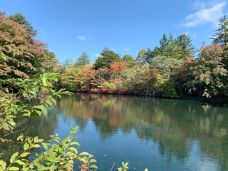 autumn in Japan