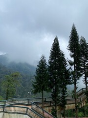 natural garden in Putrajaya 