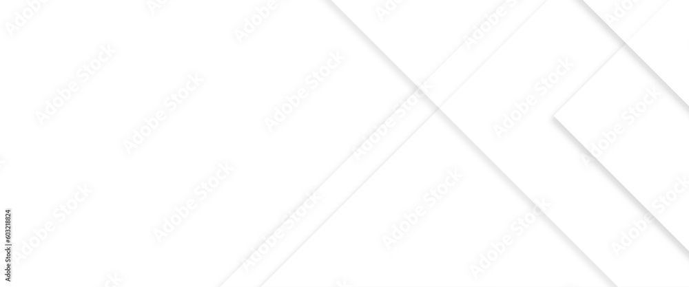 Poster vector abstract background with white lines and space geometric style, abstract white background wit