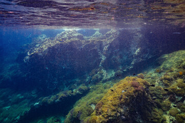 underwater video clips to see the beauty of the sea and the clarity of water in Chumphon Province, Thailand