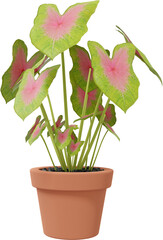 3D Render Potted Ornamental Plant