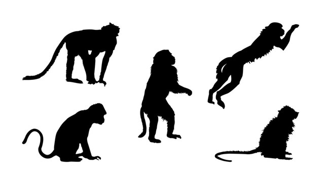 Simple Black Monkey Silhouette Vector