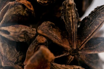 スパイス　スターアニス