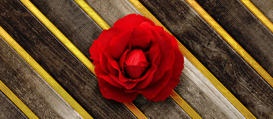 A red rose on diagonal dark wood planks with golden brushed inlay