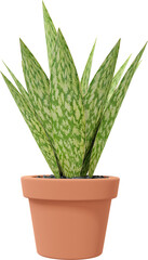 3D Render Botanical Potted Plant