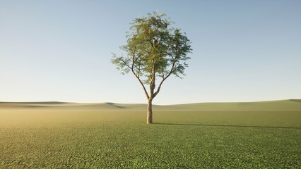 Obraz premium A green fruitful tree in the middle of the field with green ground. Maintain a healthy green fruitful environment