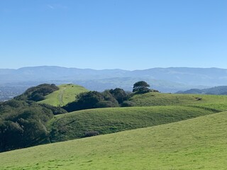 green hills