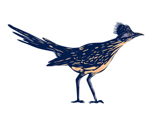 WPA poster art of a roadrunner, chaparral bird or chaparral cock in Joshua Tree National Park located in Mojave Desert, California done in works project administration or federal art project style.