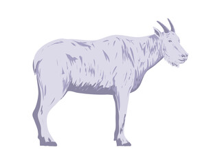 WPA poster art of a mountain goat or the Rocky Mountain goat viewed from side on isolated white background done in works project administration.