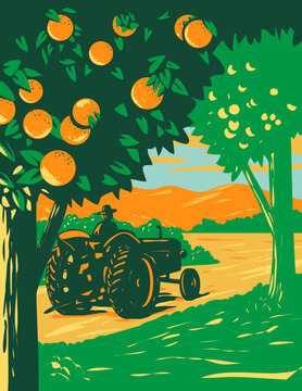 WPA poster art of an orange grove in Central Florida with a farmer driving a vintage tractor and mountains in background done in works project administration or Art Deco style.