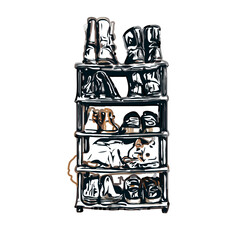 Shoe rack color sketch with transparent background