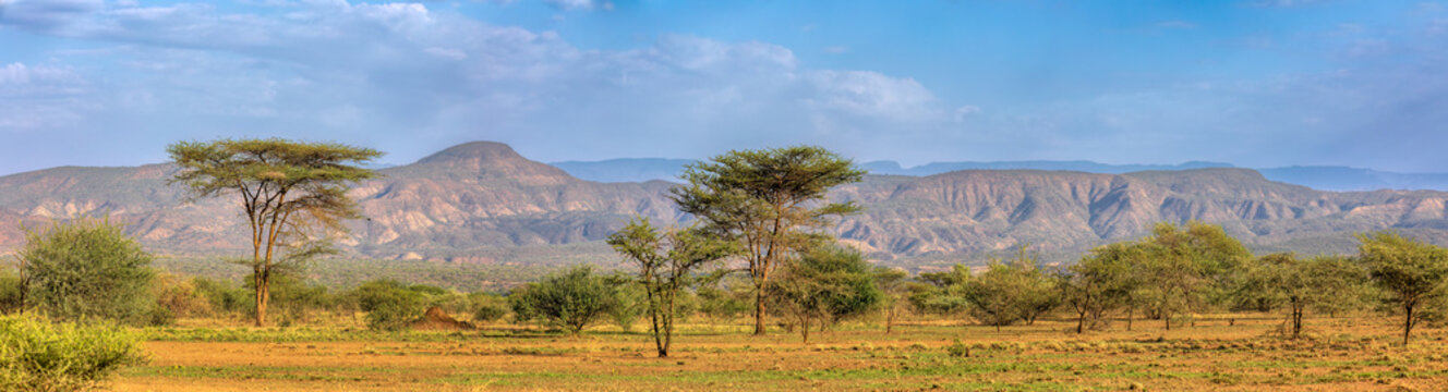 Savanna in the Awash National Park, Ethiopia