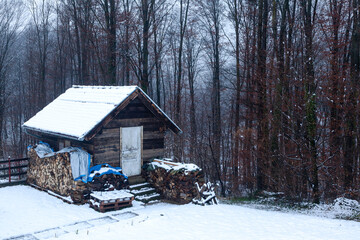 wooden house in the forest