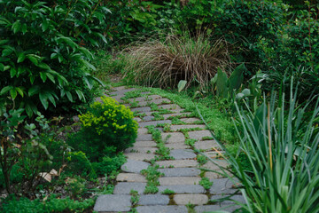 Obraz premium Concept Landscaping of the garden. Green lawn lit by sunlight in park with evergreen brushes with stone file path pedestrian sidewalk. Backyard in spring or summer. No people.