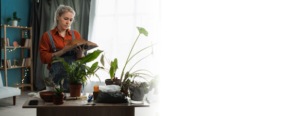 Young female gardener working at home garden, holding and reading book about houseplant care.