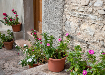 Fototapeta na wymiar Flowers in pots on a stone wall in the old town Malcesine Garda Lake
