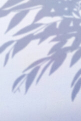 背景イラスト_木漏れ日