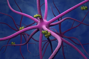 Foto op Aluminium Botulinum toxin escape and travel into the central nervous system - 3d illustration isometric view © LASZLO