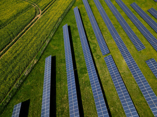 photovoltaic power plant in a rapeseed field. chemical technology crops and silicon solar panels of...
