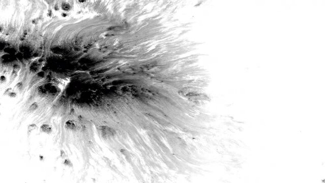 Ink drops rorschach fluid splash splatter spread texture creative abstract background mirror effect	